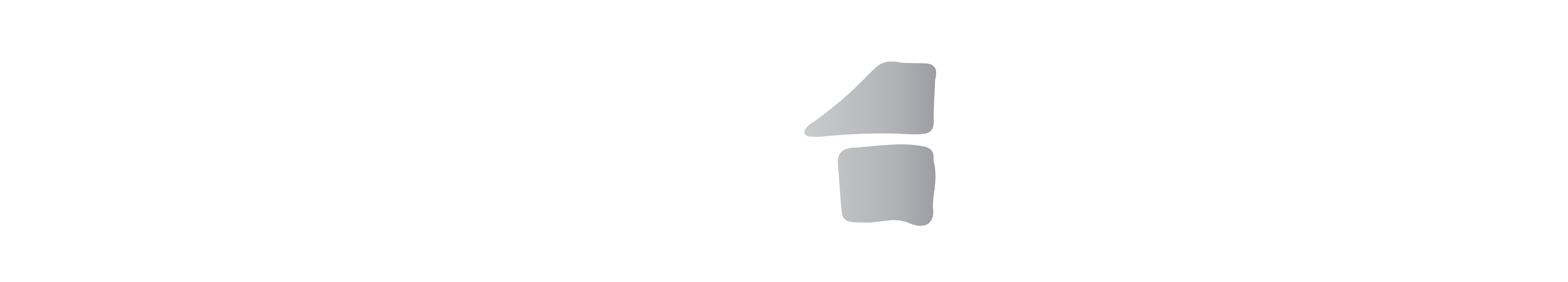 Team Zubor